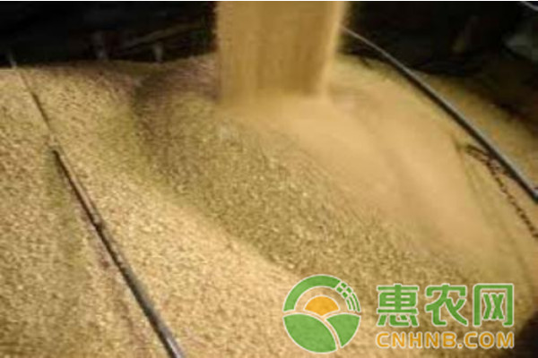 今日豆粕价格多少钱一吨？9月26日全国豆粕价格行情及走势分析