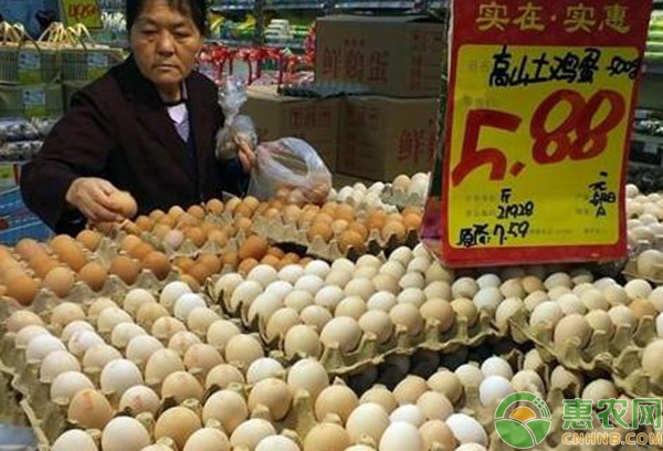 鸡蛋价格