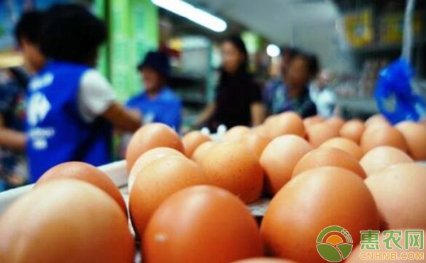 中秋过后鸡蛋价格