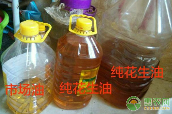 农村致富好项目：深加工出售花生油