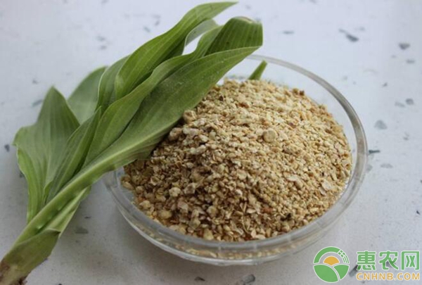 豆粕价格行情
