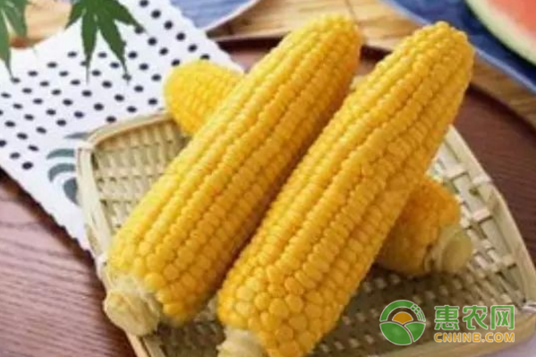 种玉米、大豆一共能领多少补贴？比你想象的多！
