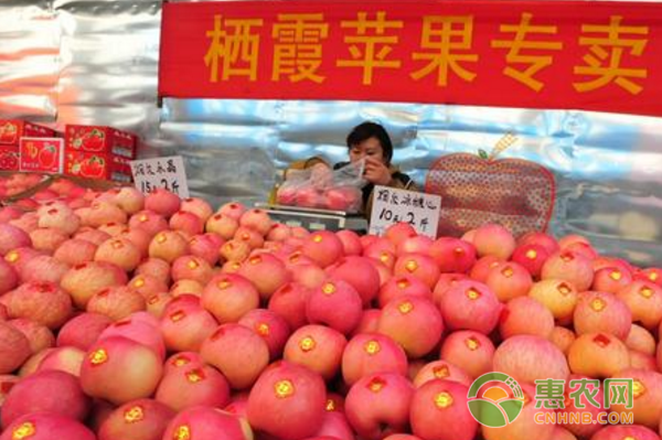 2017年10月25日苹果鲜果市场价格