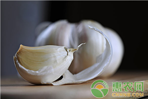 大蒜价格多少钱一斤？11月7日全国大蒜价格最新行情及走势