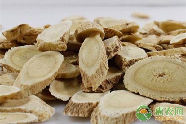 黄芪,<a href='https://www.cnhnb.com/p/zyc/' class='j-href' target='_blank'><span style='color:#FF8001'>中药材批发</span></a>