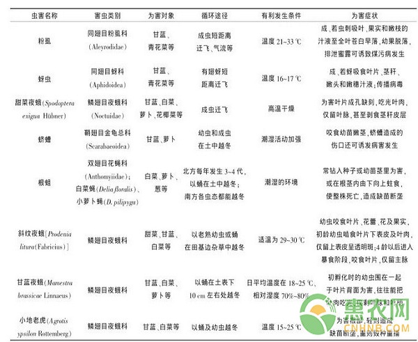 十字花科蔬菜常见病虫害及生物防治技术-农技学堂 惠农网