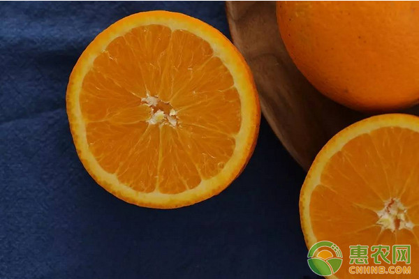 红肉脐橙多少钱一斤？今日全国脐橙主产地最新价格行情