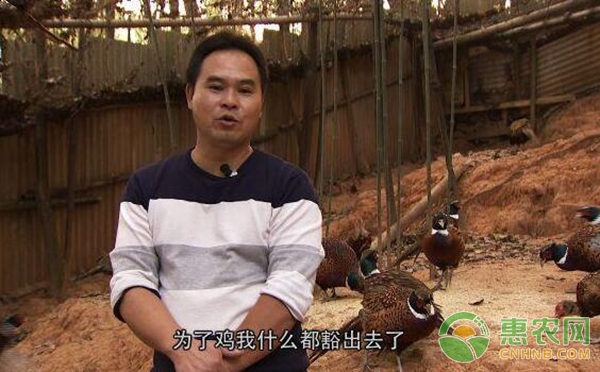 主人公周伯平