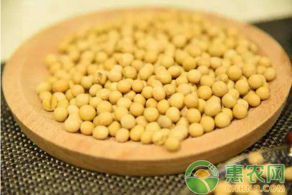2017年12月19日全国豆粕大豆价格最新行情