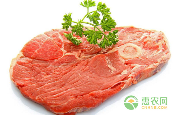2018年1月6日牛肉最新价格