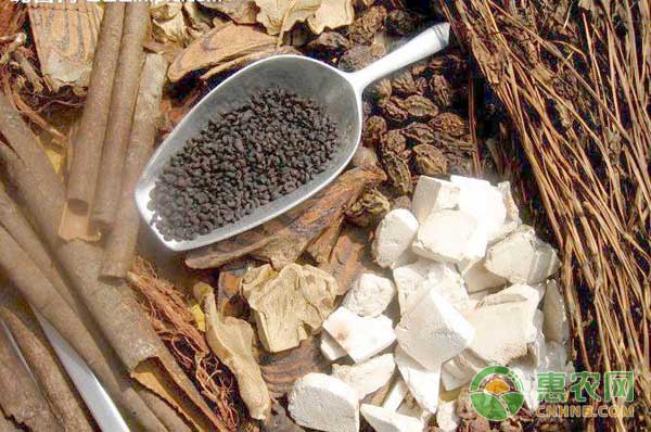 药材种植有门道，种什么药材能挣钱？