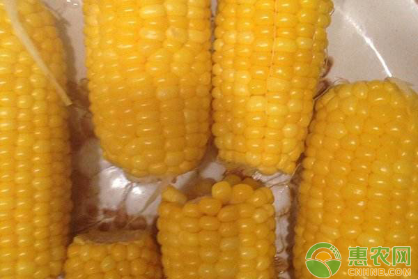 玉米价格行情