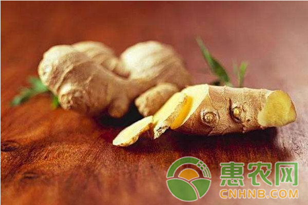 2018年2月5日全国生姜最新<a href='https://www.cnhnb.com/t/163989.html' class='j-href' target='_blank'><span style='color:#FF8001'>价格行情</span></a>