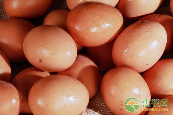 鸡蛋价格行情：整体稳定，局部上涨