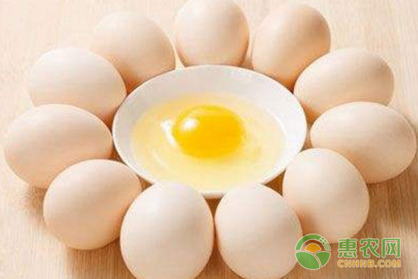 今日鸡蛋多少钱一斤？