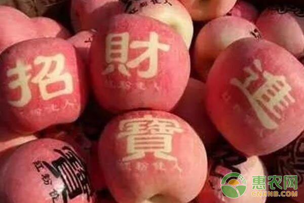 <a href='https://www.cnhnb.com/p/pingguo/' class='j-href' target='_blank'><span style='color:#FF8001'>苹果价格</span></a>行情