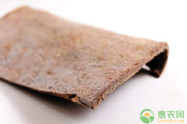 广西肉桂：国家地理标志农产品广西肉桂百科大全