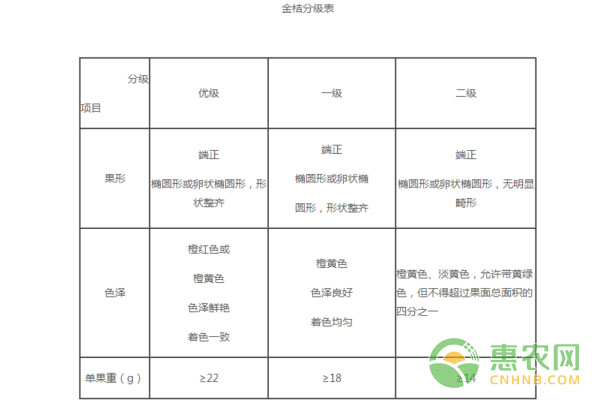中国农产品地理标志产品阳朔金桔图文百科