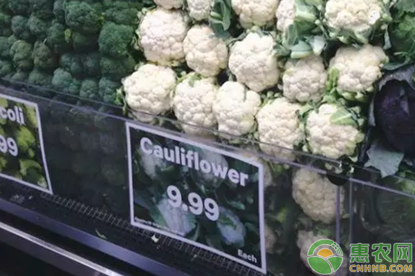 新西兰天价蔬菜