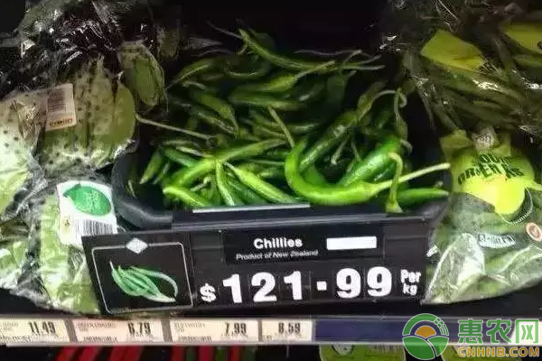 新西兰蔬菜价格