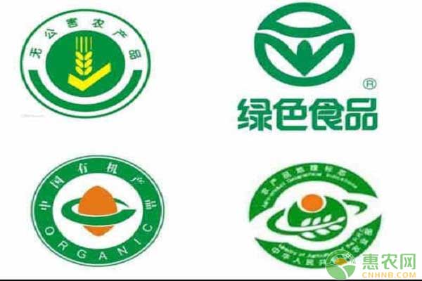 大学生村官颠覆传统农业销售，带动家乡群众发家致富