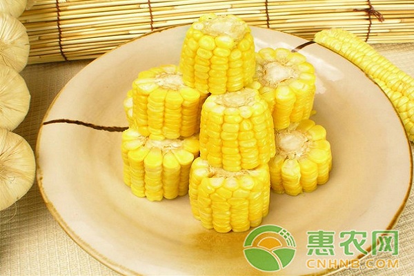 3月6日玉米主产区价格行情：<a href='https://www.cnhnb.com/t/38891.html' class='j-href' target='_blank'><span style='color:#FF8001'>玉米价格</span></a>继续上涨！