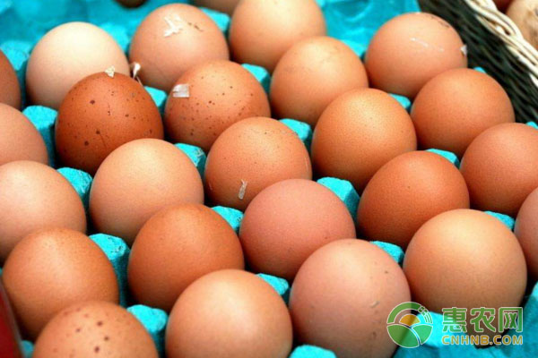 3月6日全国鸡蛋价格行情
