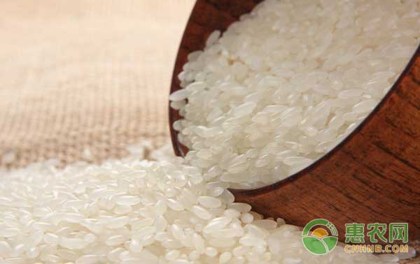 巴达仍贵大米：内蒙古科尔沁特色农产品巴达仍贵大米