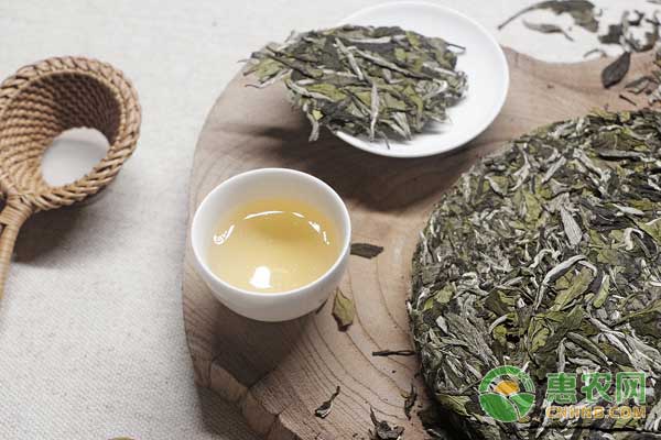 福鼎白茶：中国地理标志特色农产品福鼎白茶图文百科
