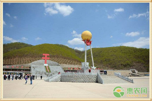 凤城大梨树村：大力发展生态旅游，打造特色农业产品