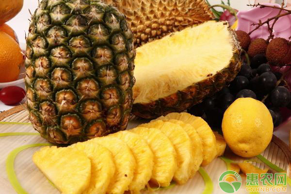 菠萝多少钱一斤？3月14日国内菠萝最新价格行情