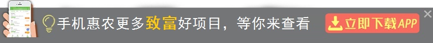 大学生村官颠覆传统农业销售，带动家乡群众发家致富