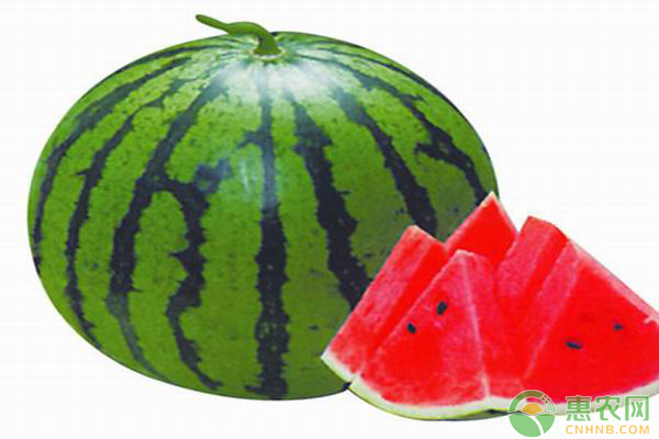 今日<a href='https://www.cnhnb.com/p/xigua/' class='j-href' target='_blank'><span style='color:#FF8001'>西瓜多少钱</span></a>一斤？3月27日国内西瓜最新价格及行情分析