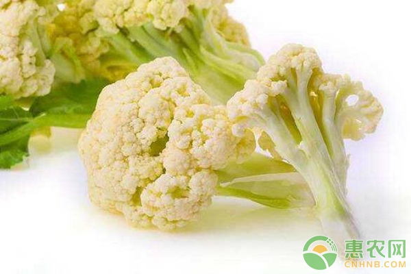 花菜价格行情