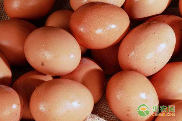 4月11日全国鸡蛋价格行情：蛋价回升，重返三元时代！