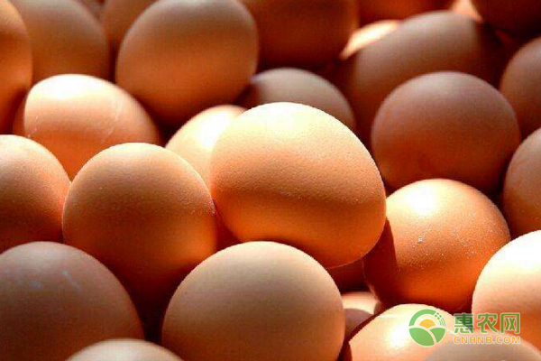 4月11日全国鸡蛋价格行情：蛋价回升，重返三元时代！