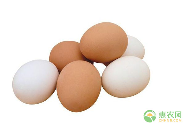 4月25日全国鸡蛋价格行情：预计短期或稳中小幅调整