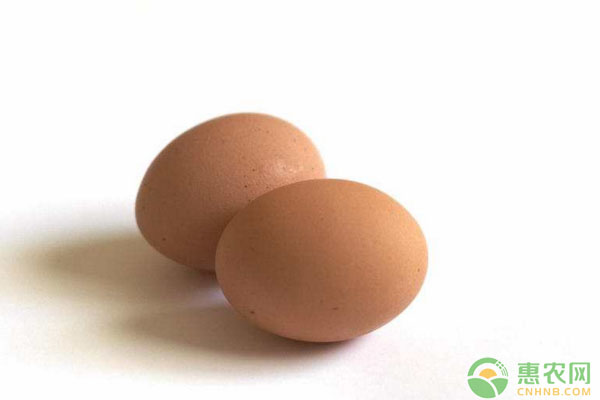 4月25日全国鸡蛋价格行情