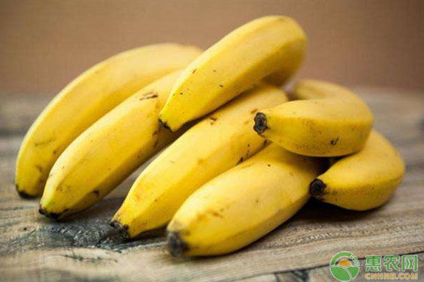 4月26日国内香蕉主产区市场收购价格