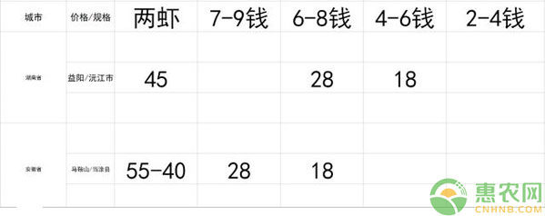 小龙虾多少钱一斤？