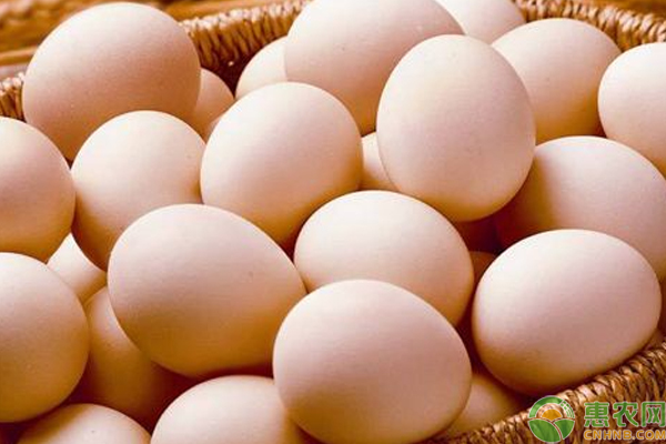 5月12日山东及主销区鸡蛋最新价格行情