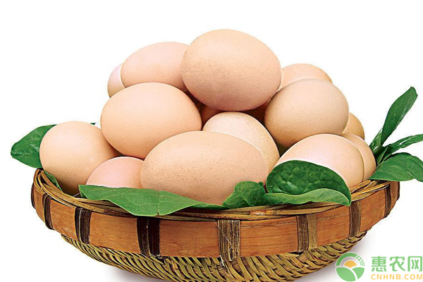 5月16日全国鸡蛋最新价格行情