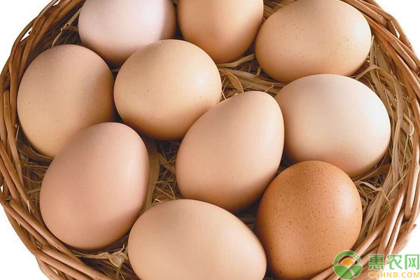 鸡蛋多少一斤钱？