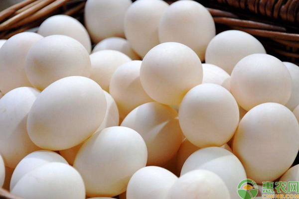 鸡蛋多少钱一斤？