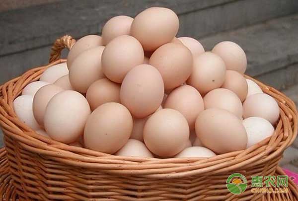 5月21日鸡蛋最新价格行情：今日蛋价大幅下跌，后期稳中有落