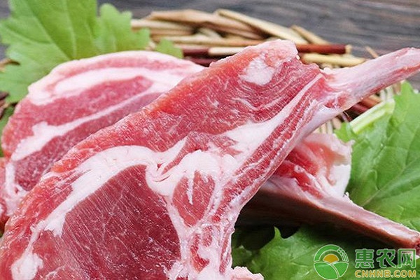 今日羊肉价格多少钱一斤？5月25日全国羊肉价格最新走势