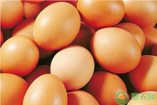 现在鸡蛋多少钱一个？5月26日全国鸡蛋价格走势
