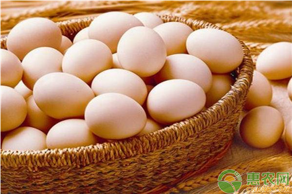现在鸡蛋多少钱一个？5月26日全国鸡蛋价格走势