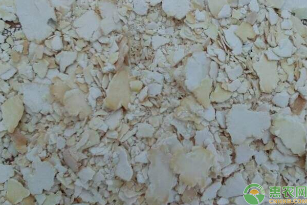 今日豆粕什么价？6月4日全国各地豆粕最新价格汇总
