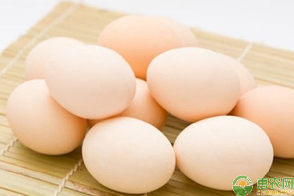 今日鸡蛋什么价？